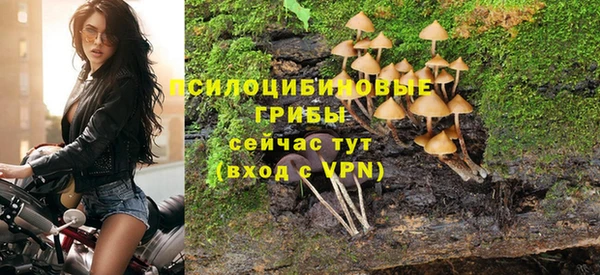 стафф Волоколамск