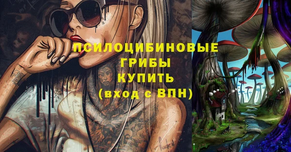 стафф Волоколамск