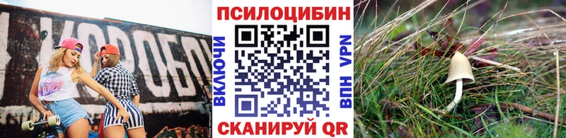 Псилоцибиновые грибы GOLDEN TEACHER  купить наркотики цена  Геленджик 